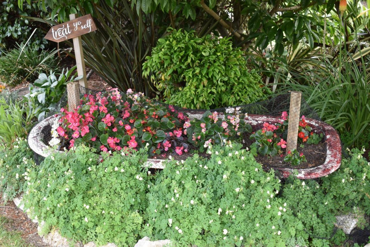 Olivista Bed & Breakfast Masterton Ngoại thất bức ảnh
